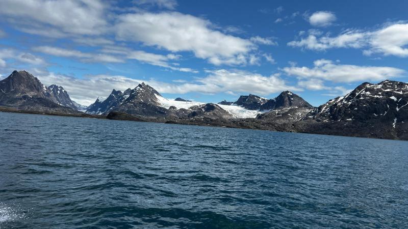 Sidefjord til Hamburger Sund - mange alke og måger på fuglefjeld