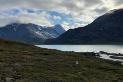 Inde i bunden af Hamburger Sund
