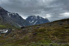 Inde i bunden af Hamburger Sund