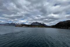 Sidefjord til Hamburger Sund - mange alke og måger på fuglefjeld