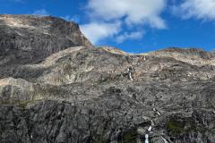 Sidefjord til Hamburger Sund - mange alke og måger på fuglefjeld