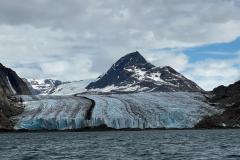 Sidefjord til Hamburger Sund - mange alke og måger på fuglefjeld