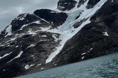 Sidefjord til Hamburger Sund - mange alke og måger på fuglefjeld