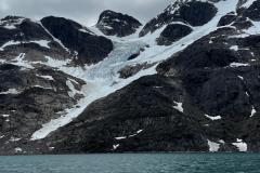 Sidefjord til Hamburger Sund - mange alke og måger på fuglefjeld