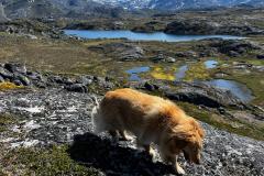 Inde i fjord før Napasoq