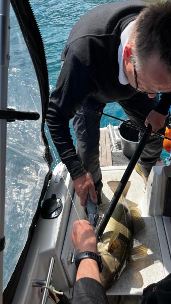 Tur til Sulussuugutip og Kapisillit med Peter og Johanne