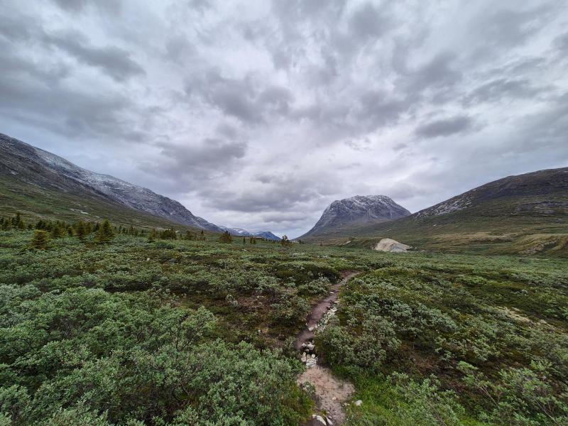 2025-07-08_19_40_Gode_2Vegetation_Gode_2__16