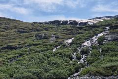 2025-07-06_14_04_Gode_3Vegetation_Gode_3__10