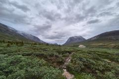 2025-07-08_19_40_Gode_2Vegetation_Gode_2__16