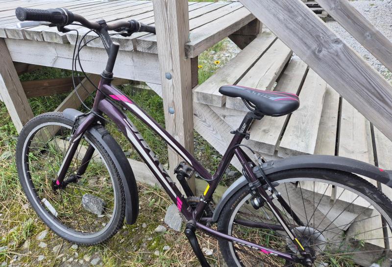 Johannes gamle cykel kommer videre til ny ejer