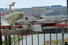 Spurvene er godt i gang med foderbrættet