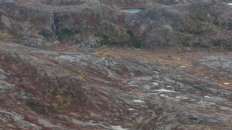 500 meter oppe i Qussuk ved Andenæbbet