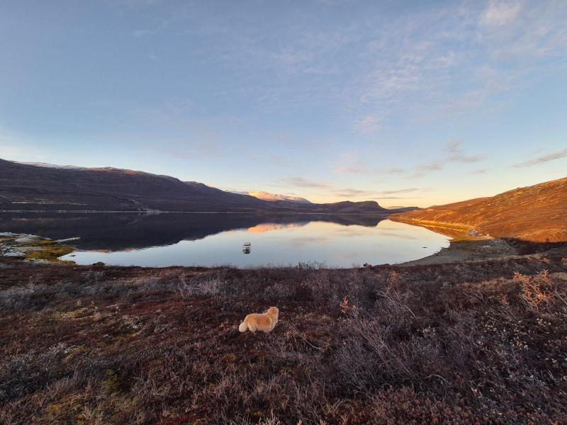 2025-10-23_17_47_Gode_2Maru_Gode_2__9