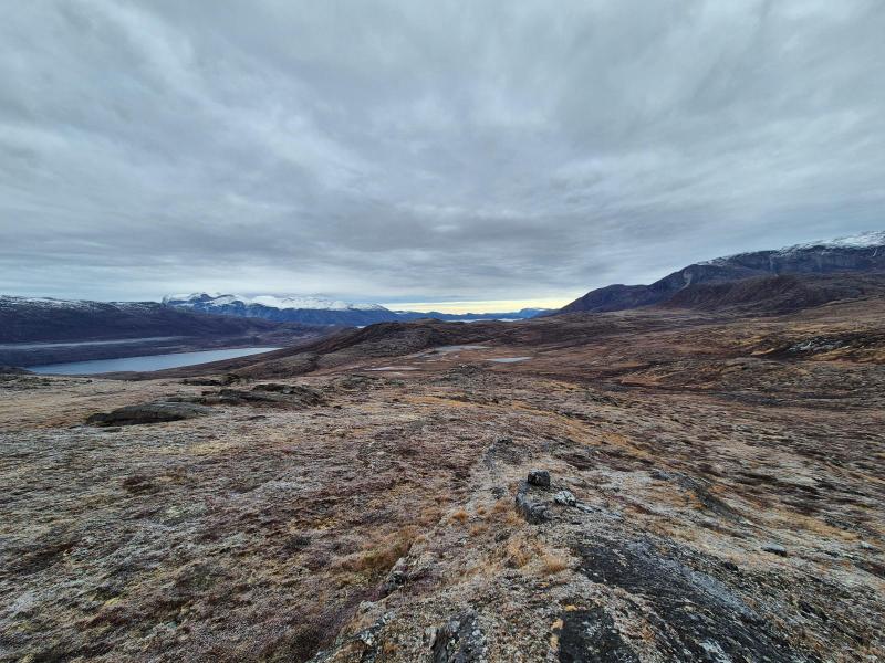 2025-10-24_11_39_Gode_2_Gode_2__13