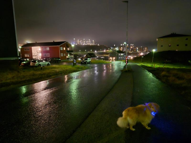 2025-10-17_06_41_Gode_3EmilyPupikNattebilledeTaage_Gode_3__1