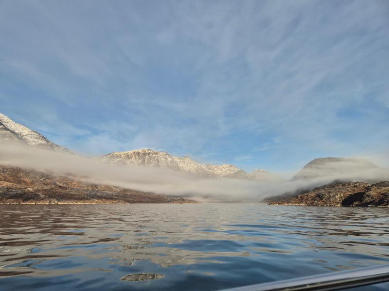 2025-10-17_17_10_TaageGode_2_Taage__2