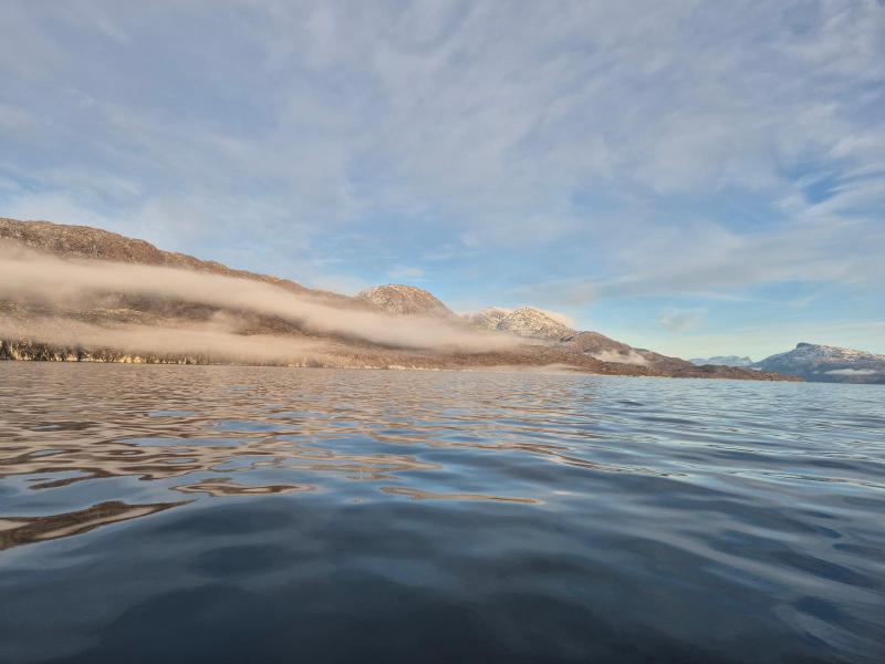 2025-10-17_17_13_TaageGode_2_Taage__3