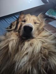 2025-10-17_23_04_EmilyGode_1Bedste_2_Emily__6