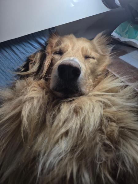 2025-10-17_23_04_EmilyGode_1Bedste_2_Emily__6