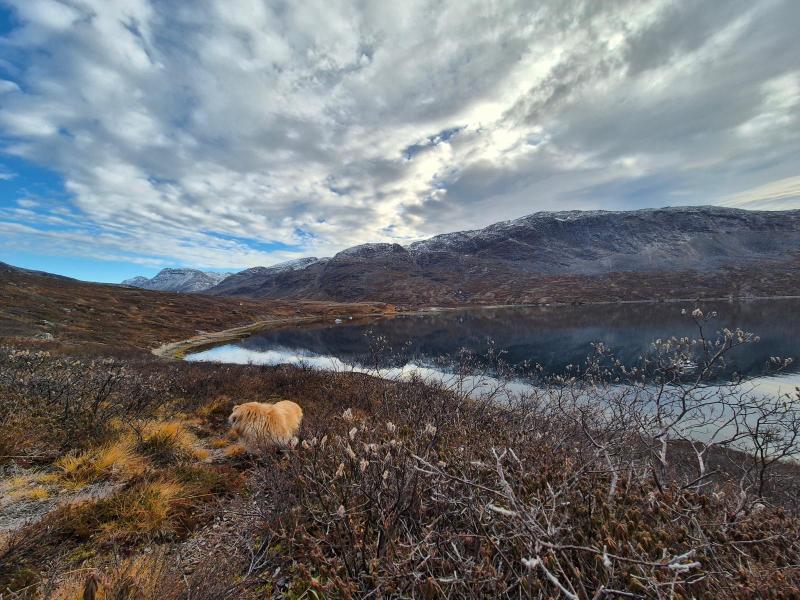 2025-10-18_16_13_VegetationGode_2Emily_Vegetation__14