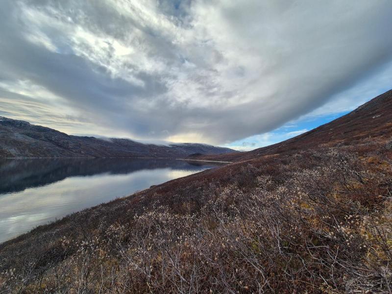 2025-10-18_16_13_VegetationGode_2_Vegetation__15