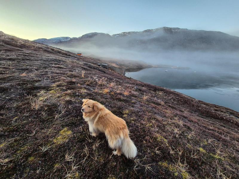 2025-10-19_09_10_TaageGode_2Emily_Taage__25