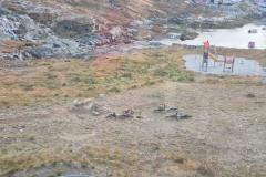 2025-10-06_16_40_Udsigt-fra-altan_Udsigt-fra-altan__3