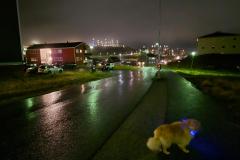 2025-10-17_06_41_Gode_3EmilyPupikNattebilledeTaage_Gode_3__1