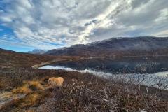 2025-10-18_16_13_VegetationGode_2Emily_Vegetation__14