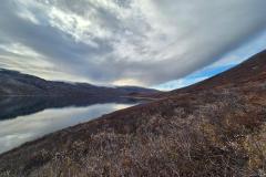 2025-10-18_16_13_VegetationGode_2_Vegetation__15
