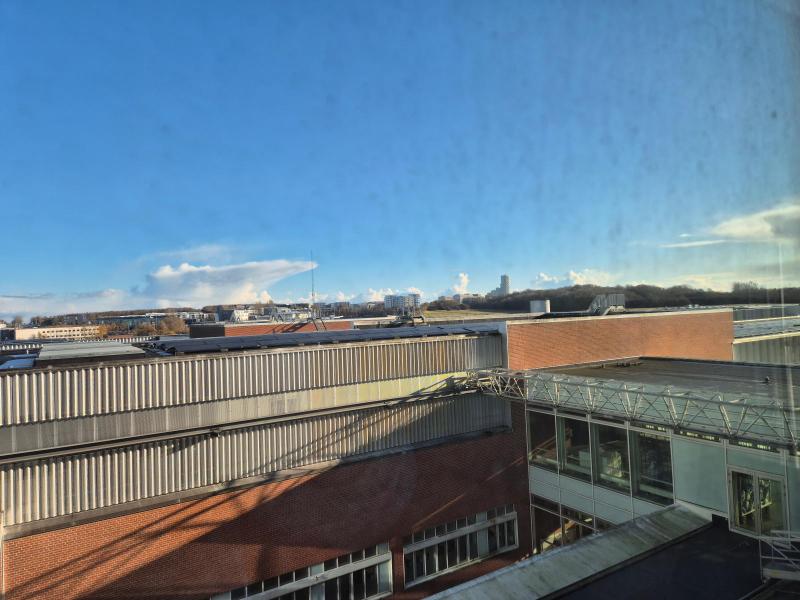Udsigten fra stuen