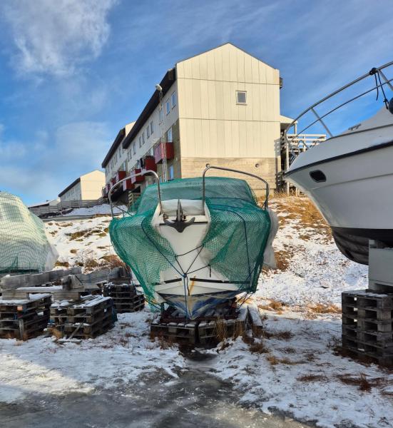 Maru er blevet pakket ind til vinteren