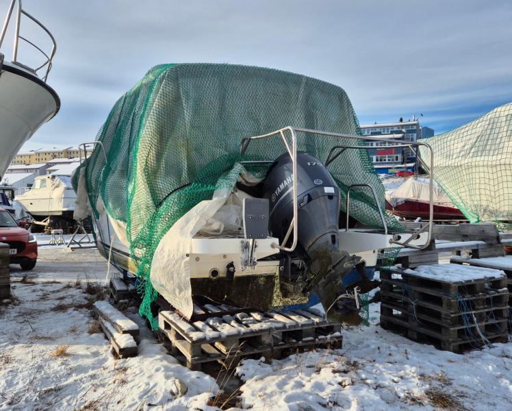 Maru er blevet pakket ind til vinteren