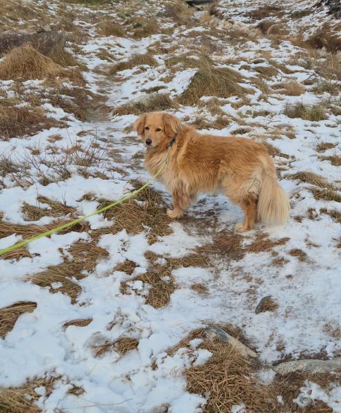 2025-11-05_15_18_EmilyGode_4_Emily__6