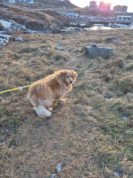 2025-11-07_15_44_EmilyGode_4_Emily__5