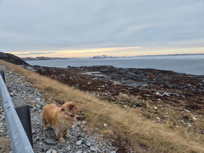 2025-11-08_11_53_EmilyGode_4_Emily__4