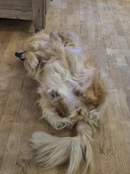 2025-11-08_18_43_EmilyGode_4_Emily__3