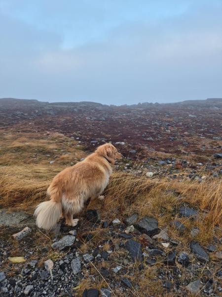 2025-11-15_11_47_EmilyGode_4_Emily__2