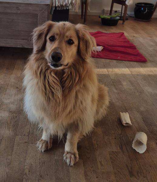 2025-11-15_14_46_EmilyGode_4_Emily__1