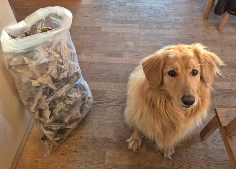 2025-11-15_15_25_EmilyGode_4_Emily__