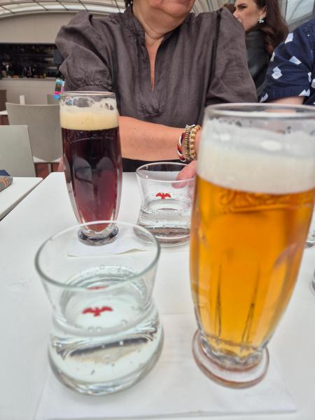 Bådtur med frokost i Prag