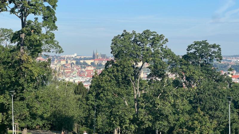 Peter ude og lade om morgenen i Prag