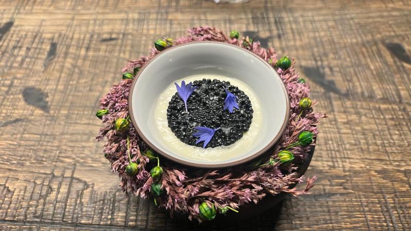 Luksusmiddag på Bottiglieria 1881 - 2 stjernet Michelin Restaurant i Krakow - super lækkert