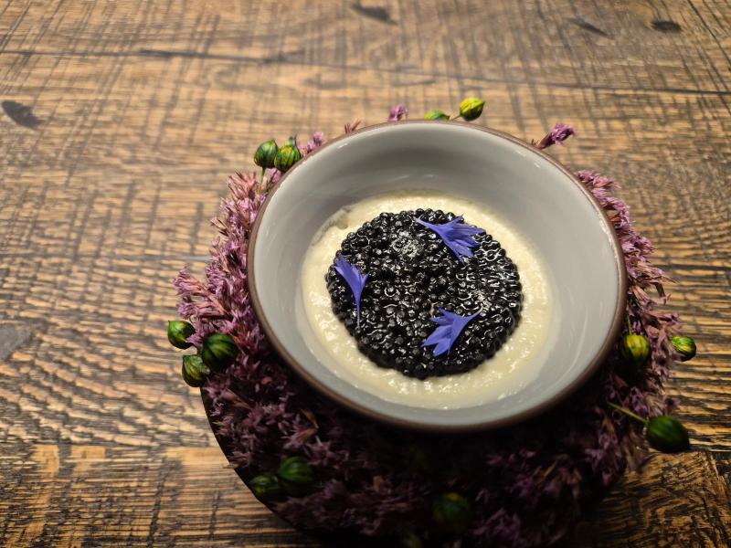 Luksusmiddag på Bottiglieria 1881 - 2 stjernet Michelin Restaurant i Krakow - super lækkert