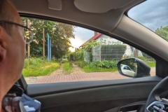 Pludselig var der 9 vildsvin på vejen