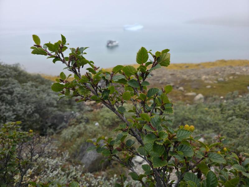 Tur til Sulugsuugutip Kangerlua
