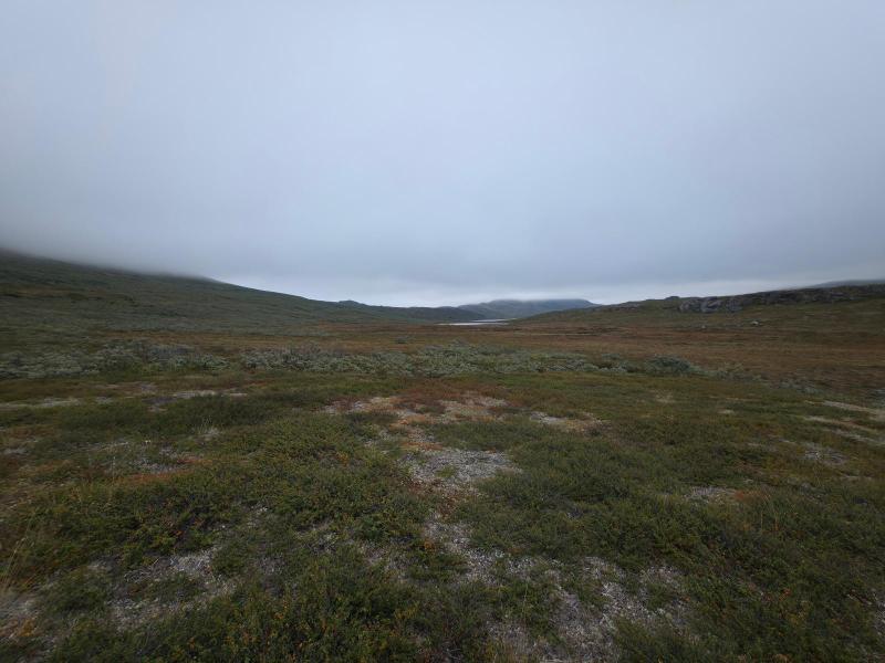 Tur til Sulugsuugutip Kangerlua