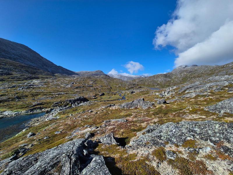 Amitsorssuaq ved Buksefjordens munding