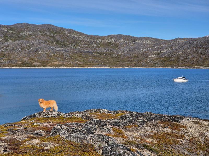 Amitsorssuaq ved Buksefjordens munding