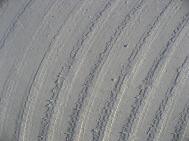2007-02-24_malina_006